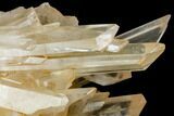 Tangerine Quartz Crystal Cluster - Madagascar #112786-4